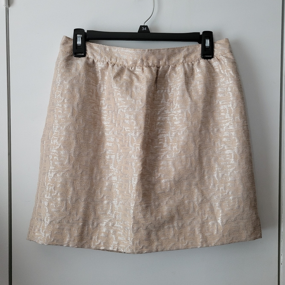 Ann Taylor LOFT champagne metallic skirt